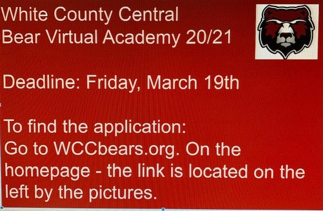 Bear Virtual Academy