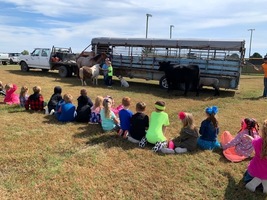 Farm Animals for Kindergarten