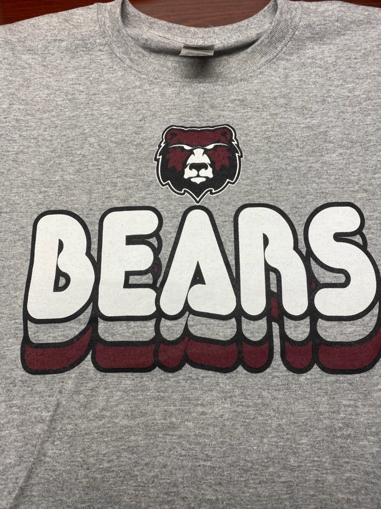 Bears t-shirt design
